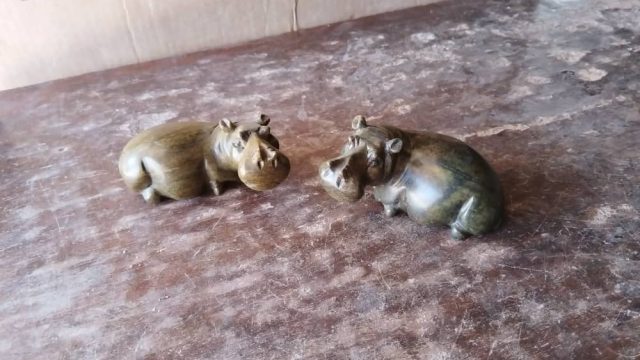 Hippos