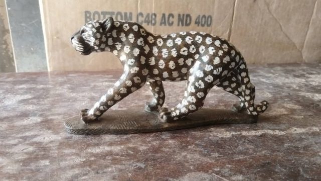 leopard